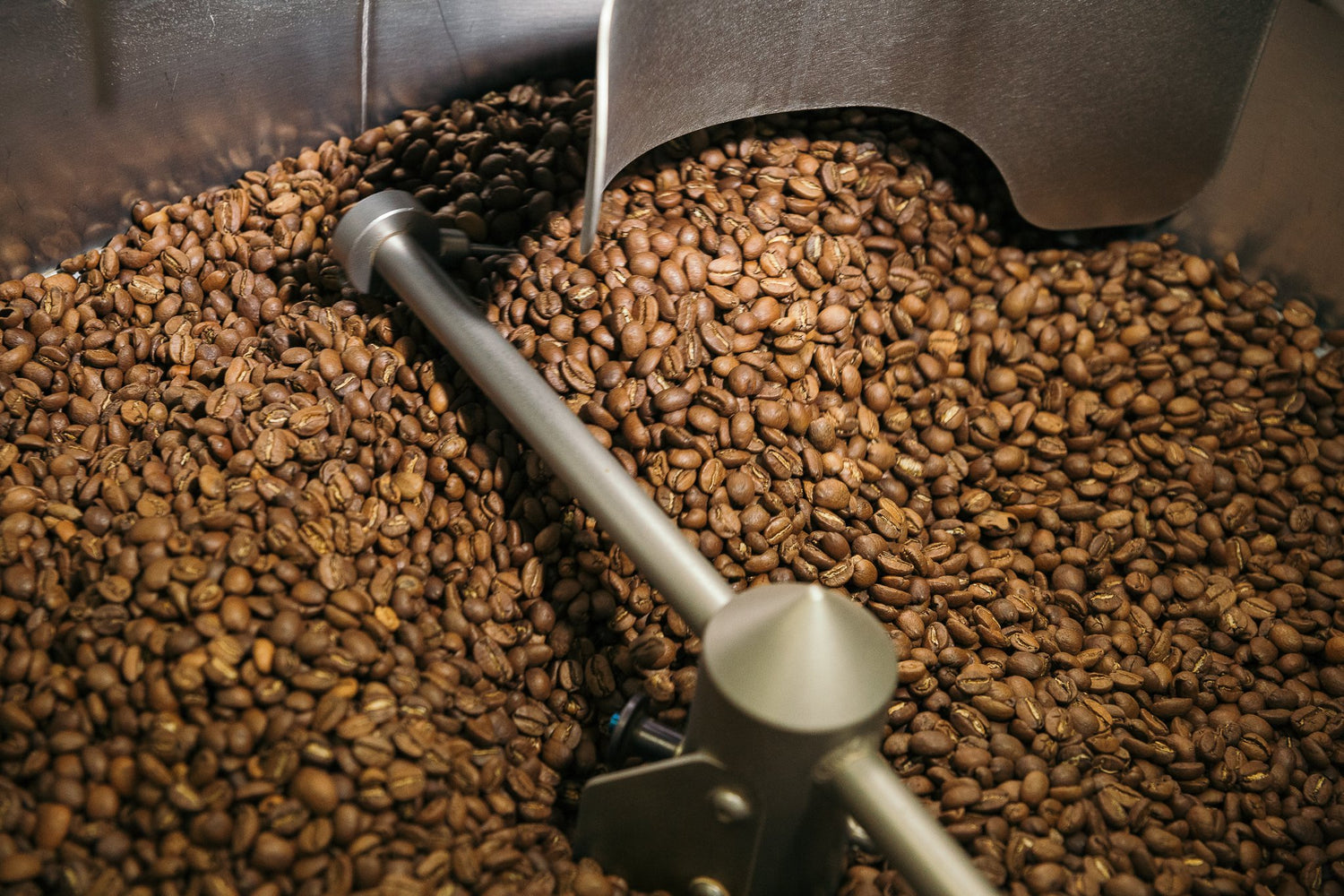 Roast Color - Unveiling the Spectrum of Flavor